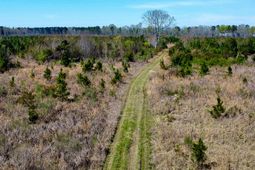 0 S Locust Avenue photo 4