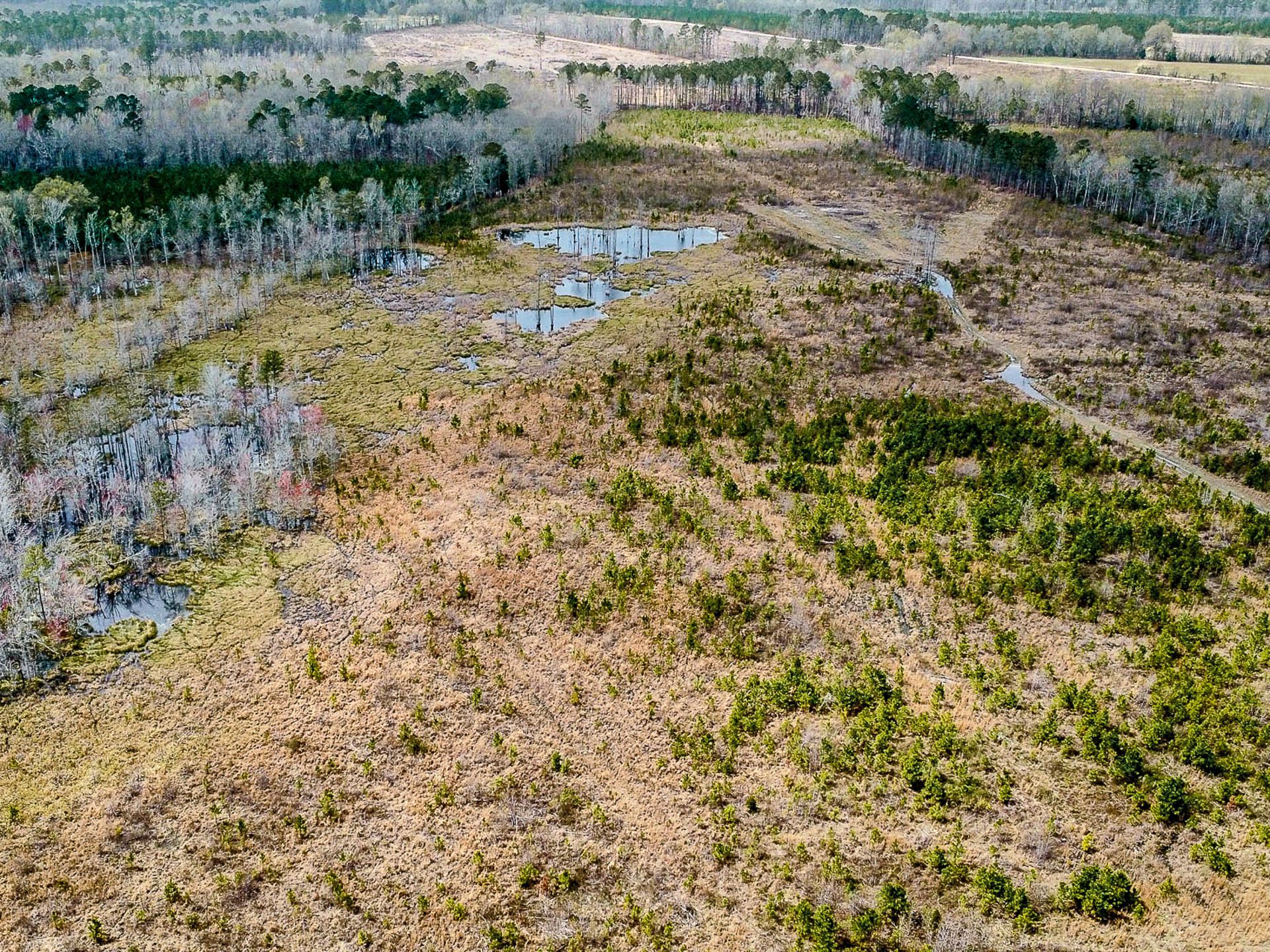 0 S Locust Avenue Photo 6