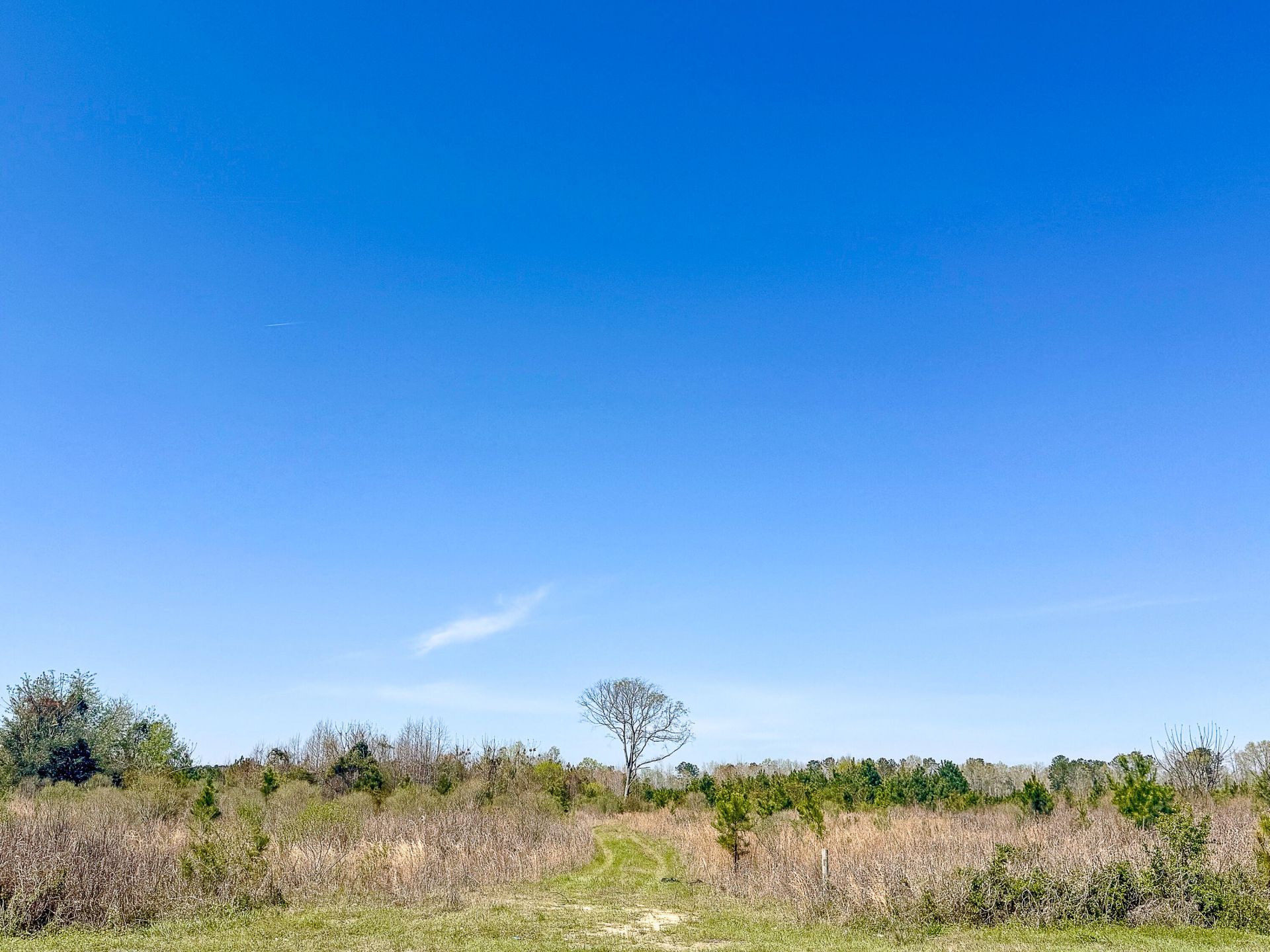 0 S Locust Avenue Photo 7