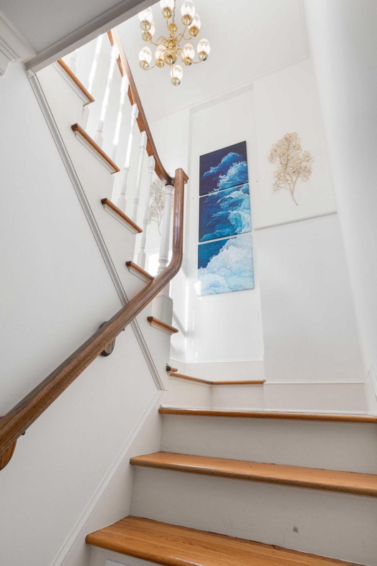 49 Smith Street Photo 28