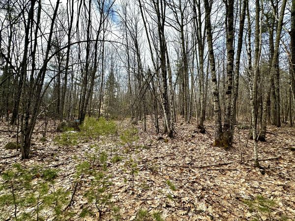 332 Folly Road , Sebago, ME 04029