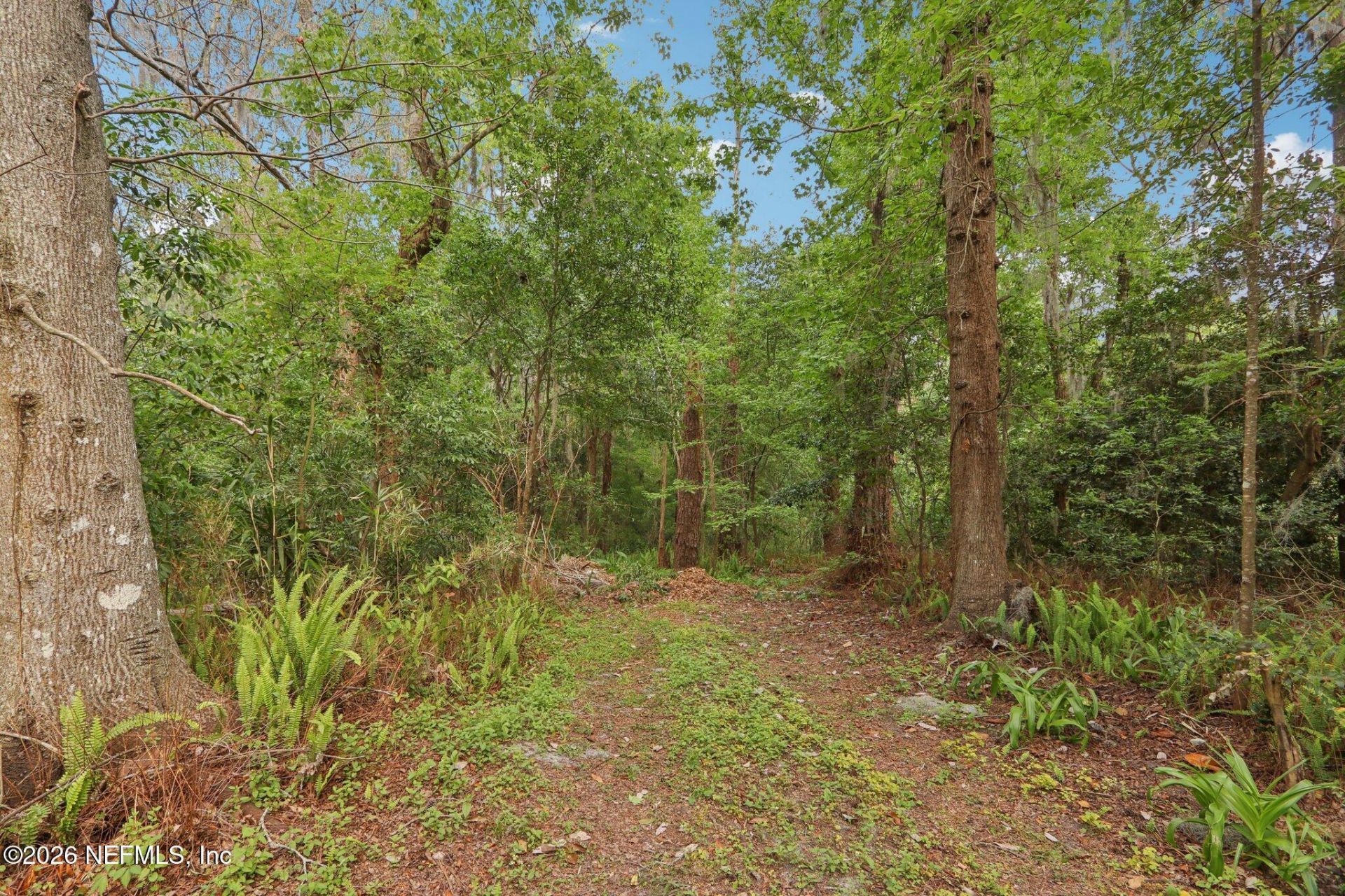 3115 Parental Home Road, Jacksonville, FL 32216 Photo