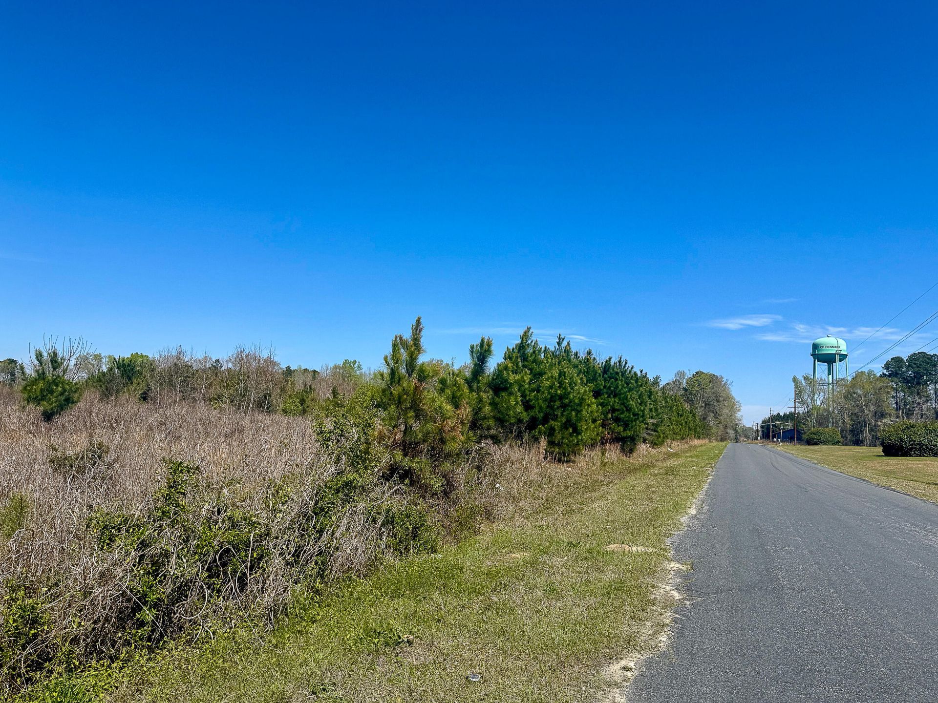 0 S Locust Avenue Photo 10