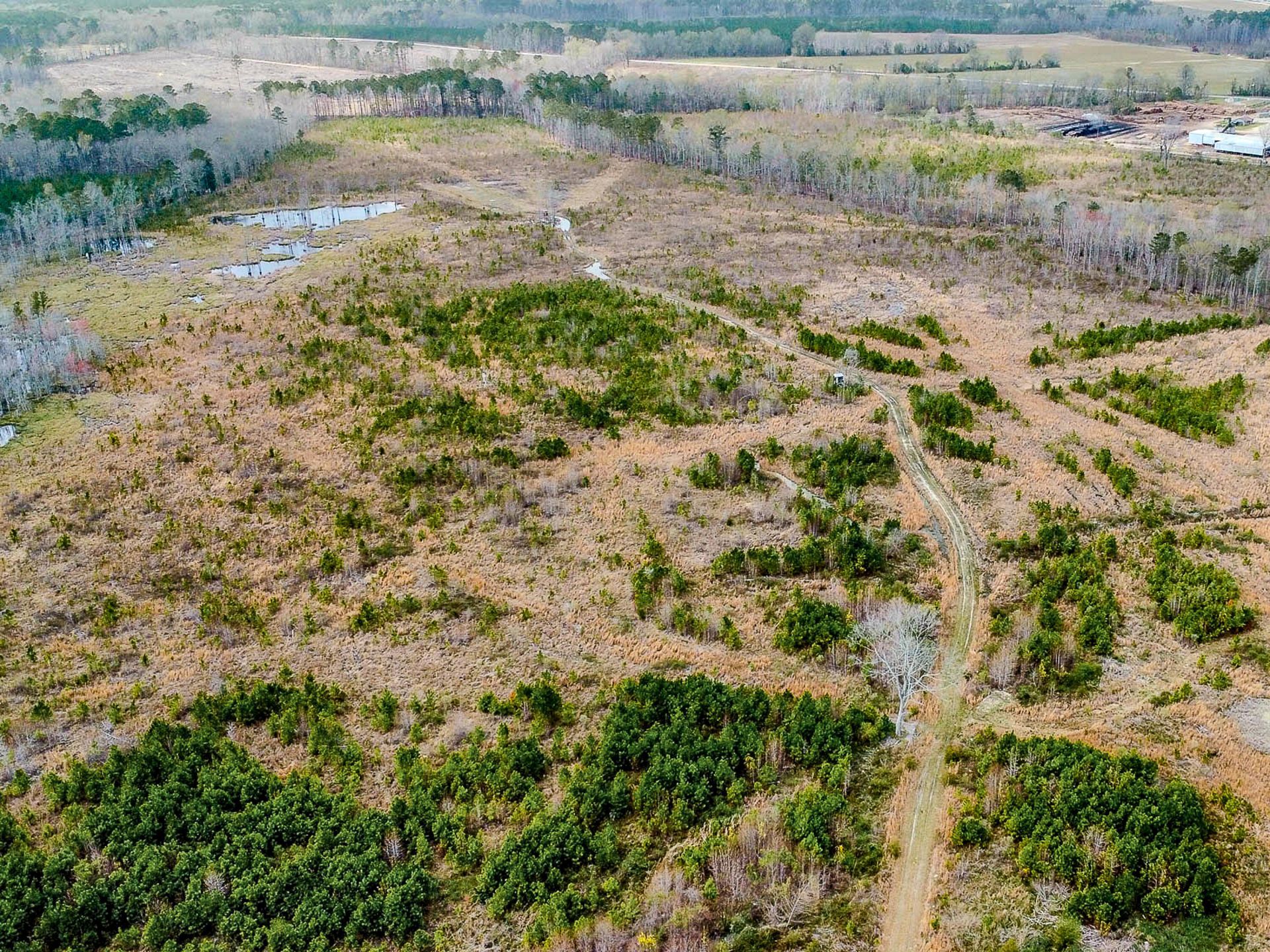 0 S Locust Avenue Photo 12