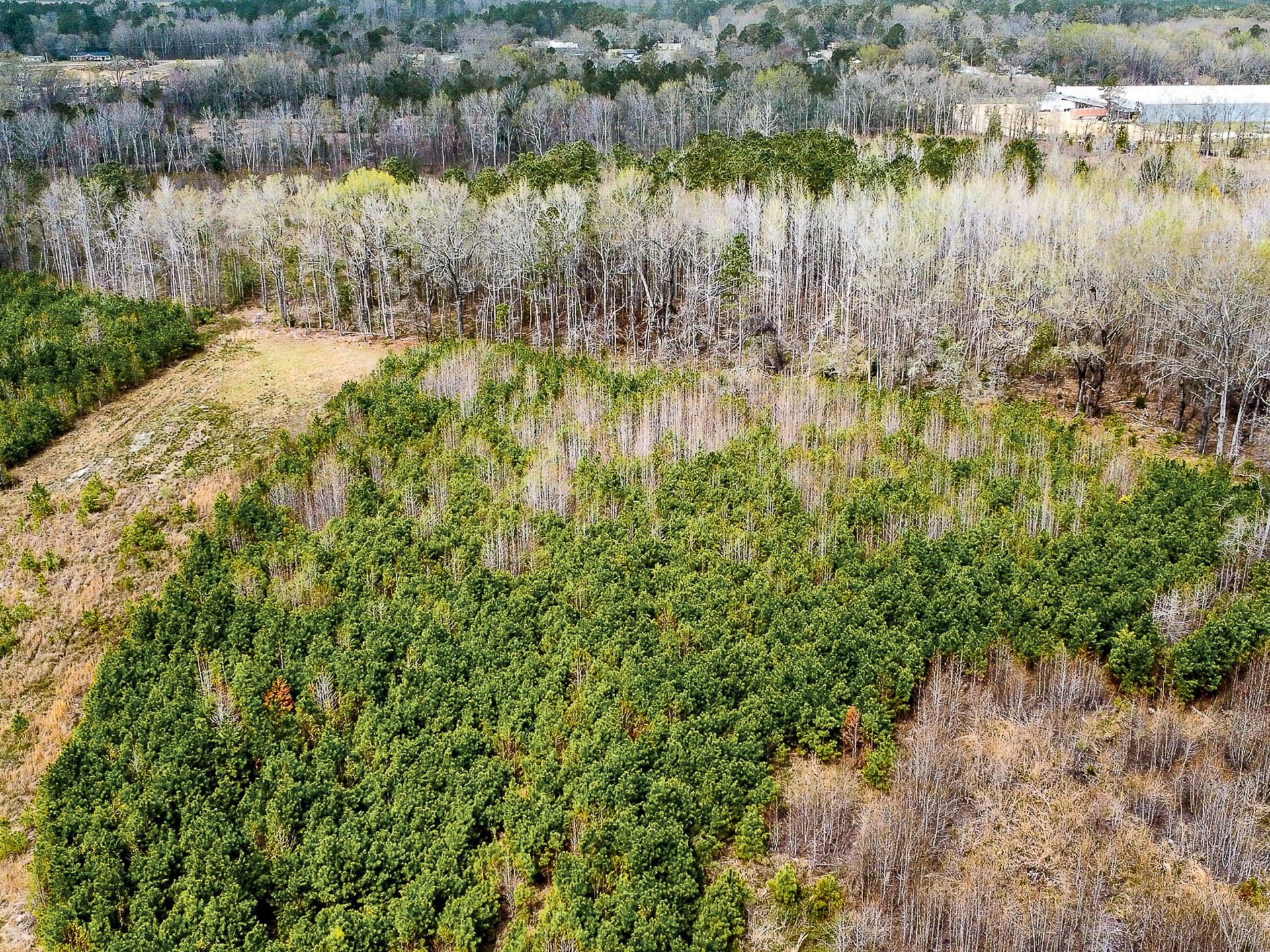 0 S Locust Avenue Photo 14