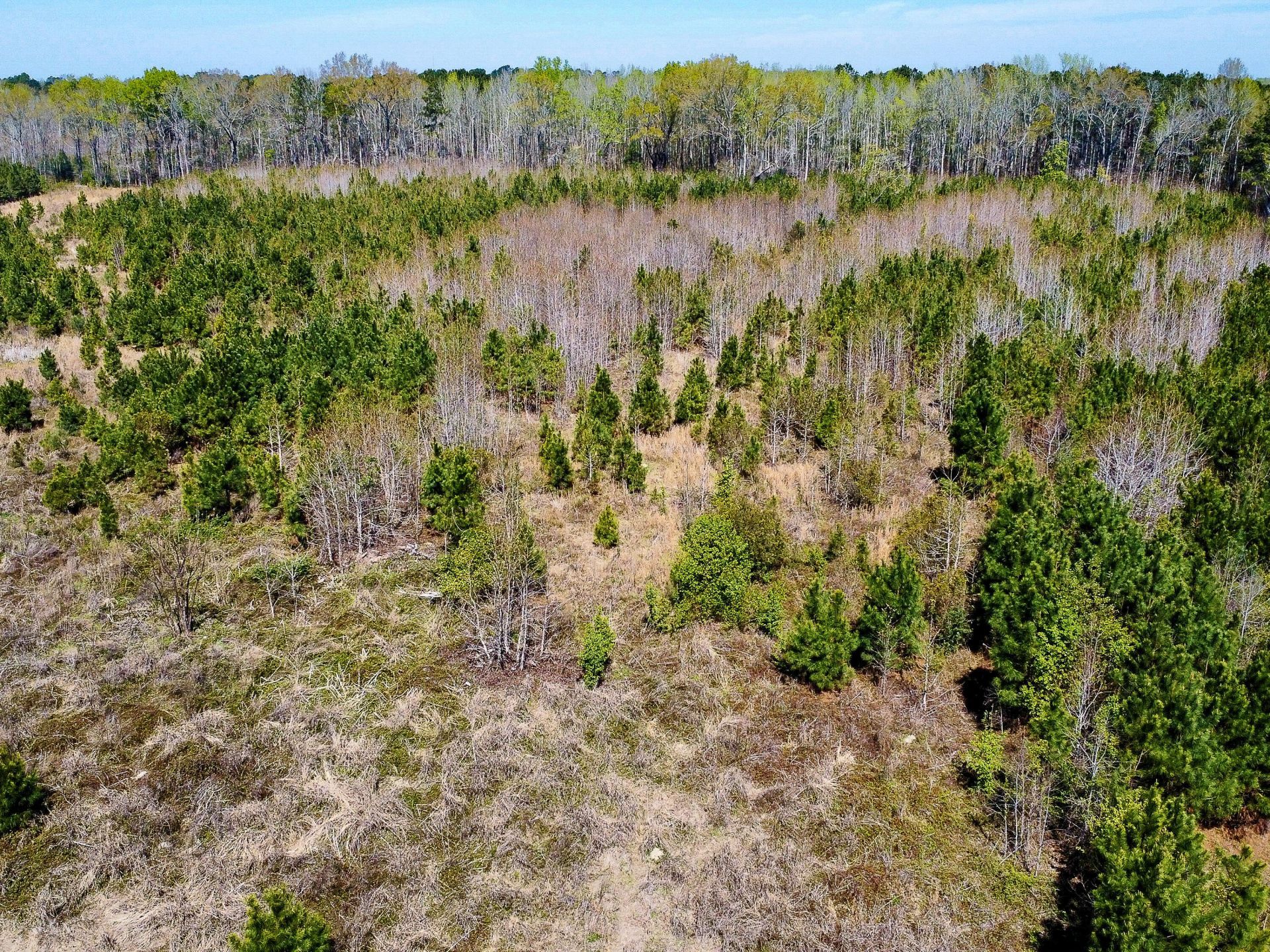 0 S Locust Avenue Photo 15