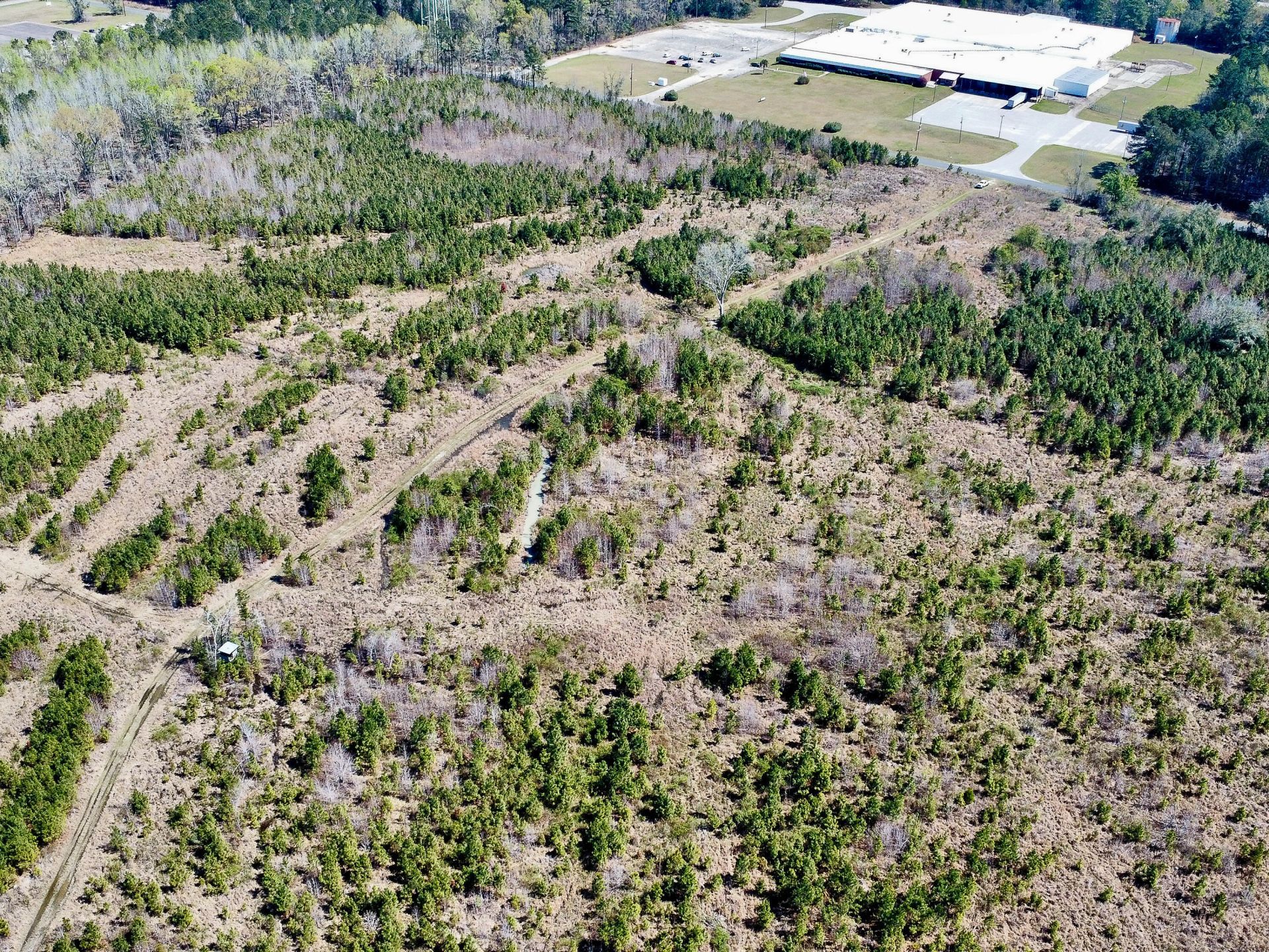 0 S Locust Avenue Photo 18