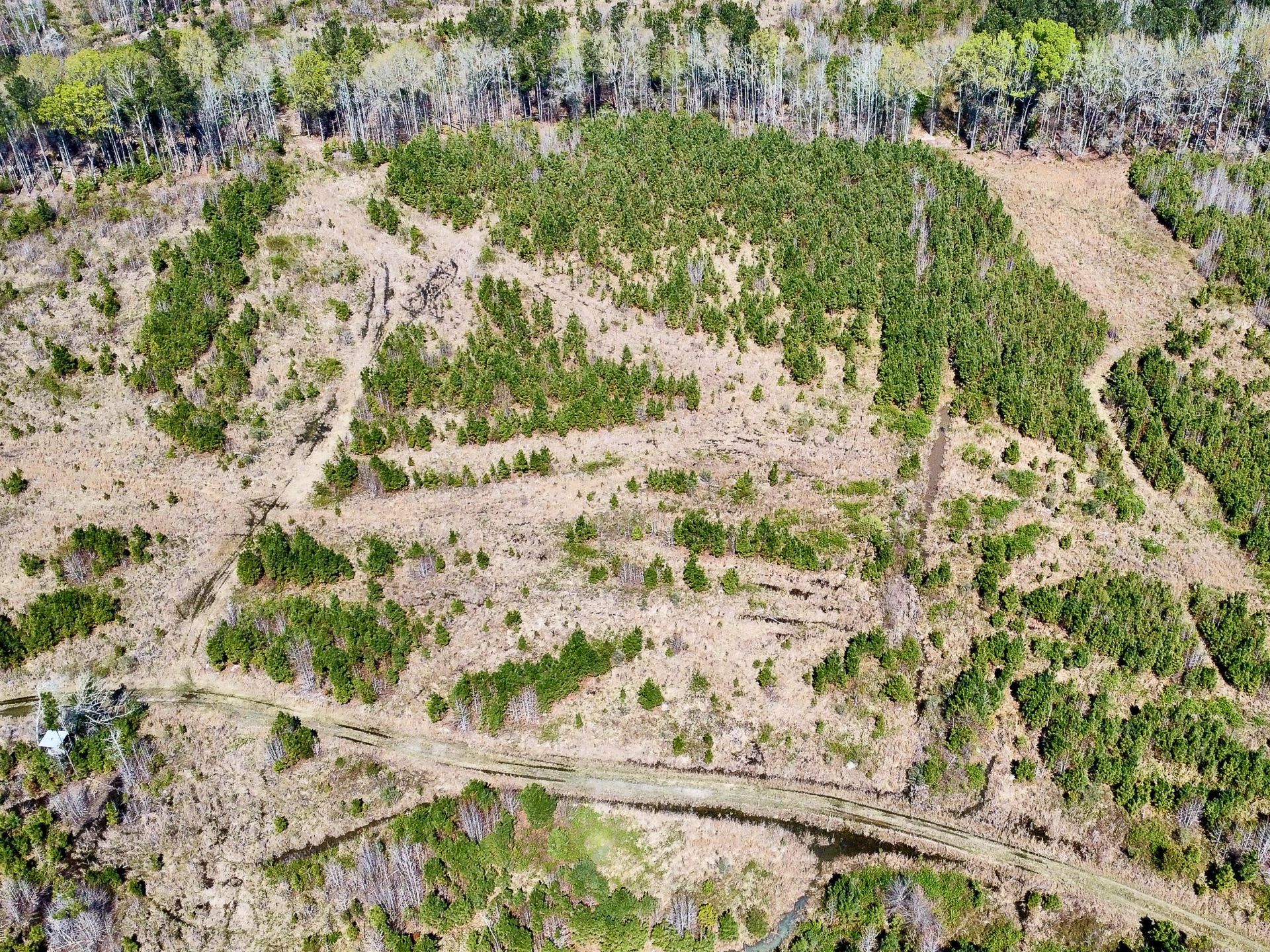 0 S Locust Avenue Photo 19