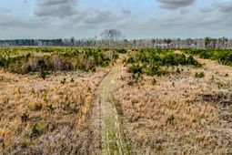 0 S Locust Avenue photo 4