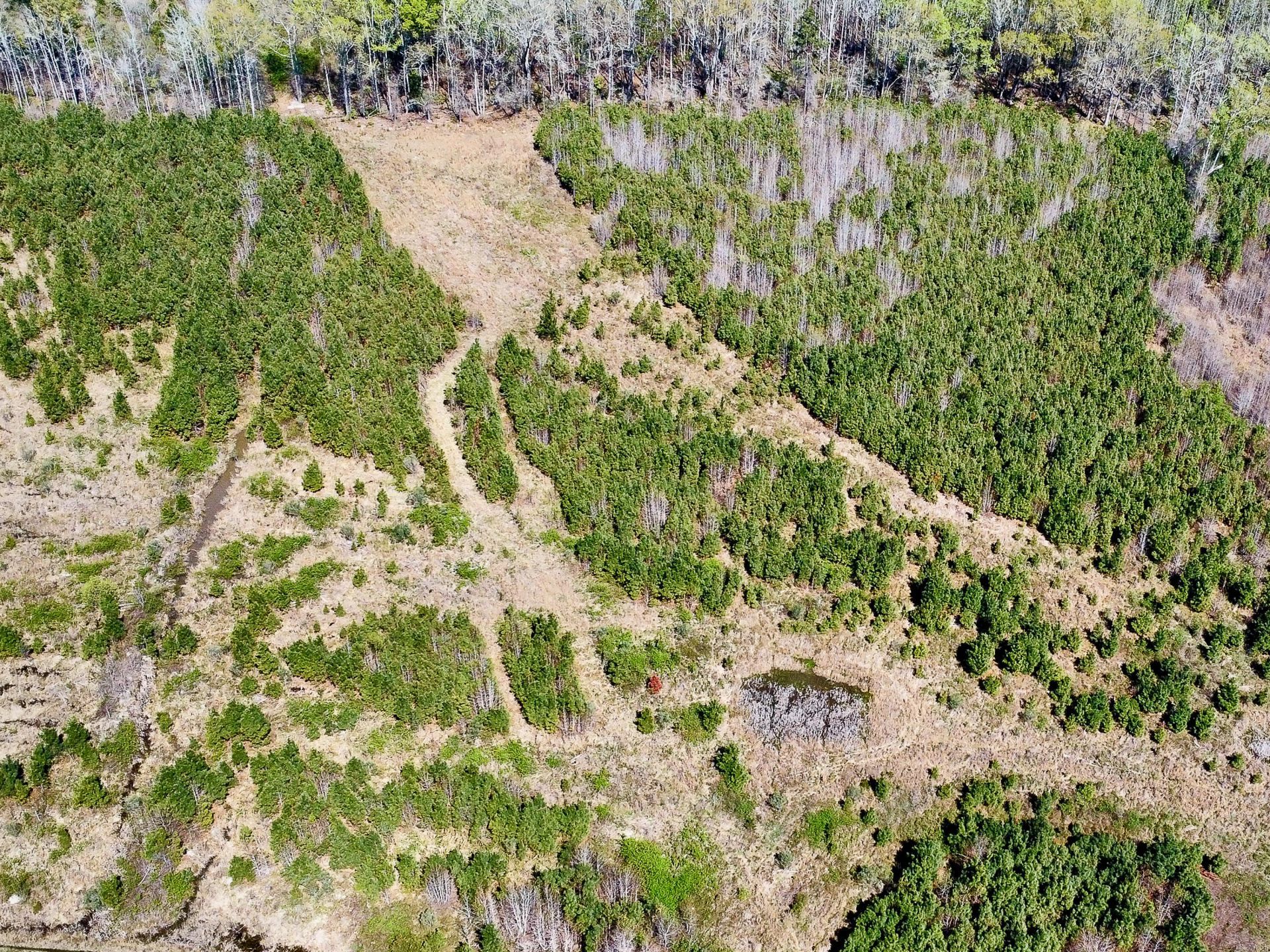 0 S Locust Avenue Photo 20