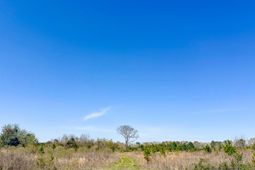 0 S Locust Avenue photo 4