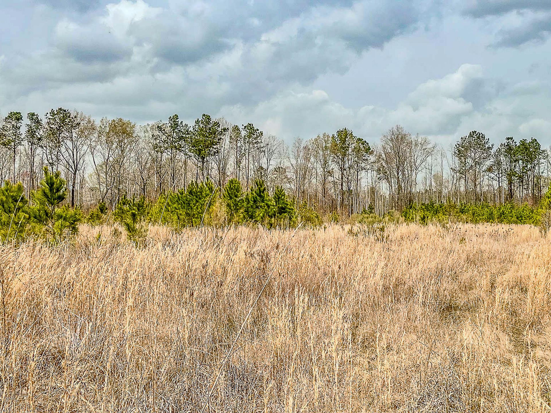 0 S Locust Avenue Photo 5