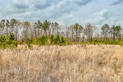 0 S Locust Avenue photo 4