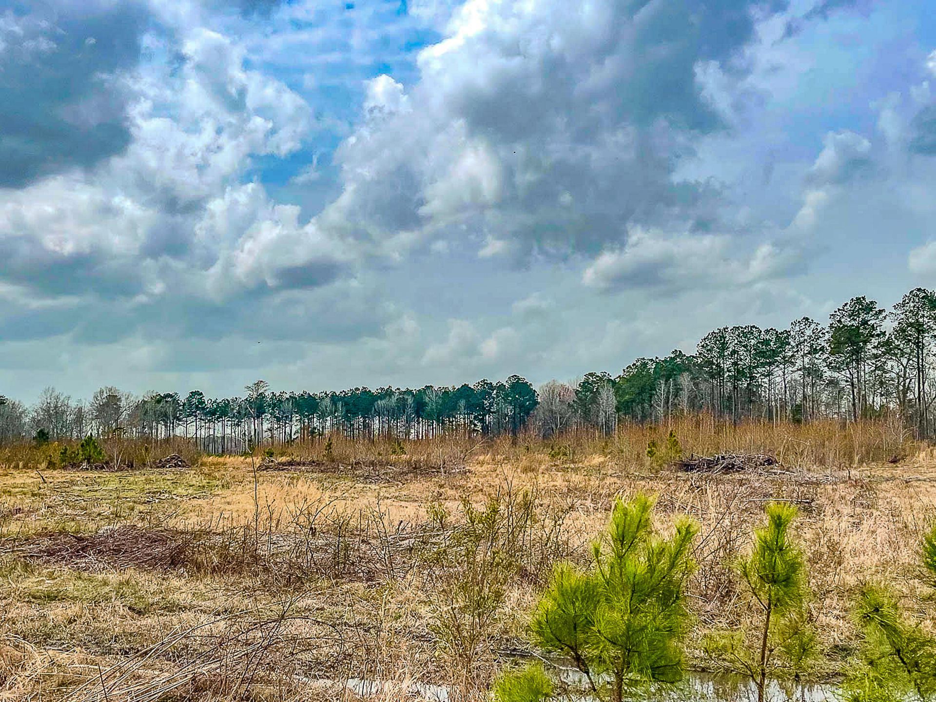 0 S Locust Avenue Photo 8