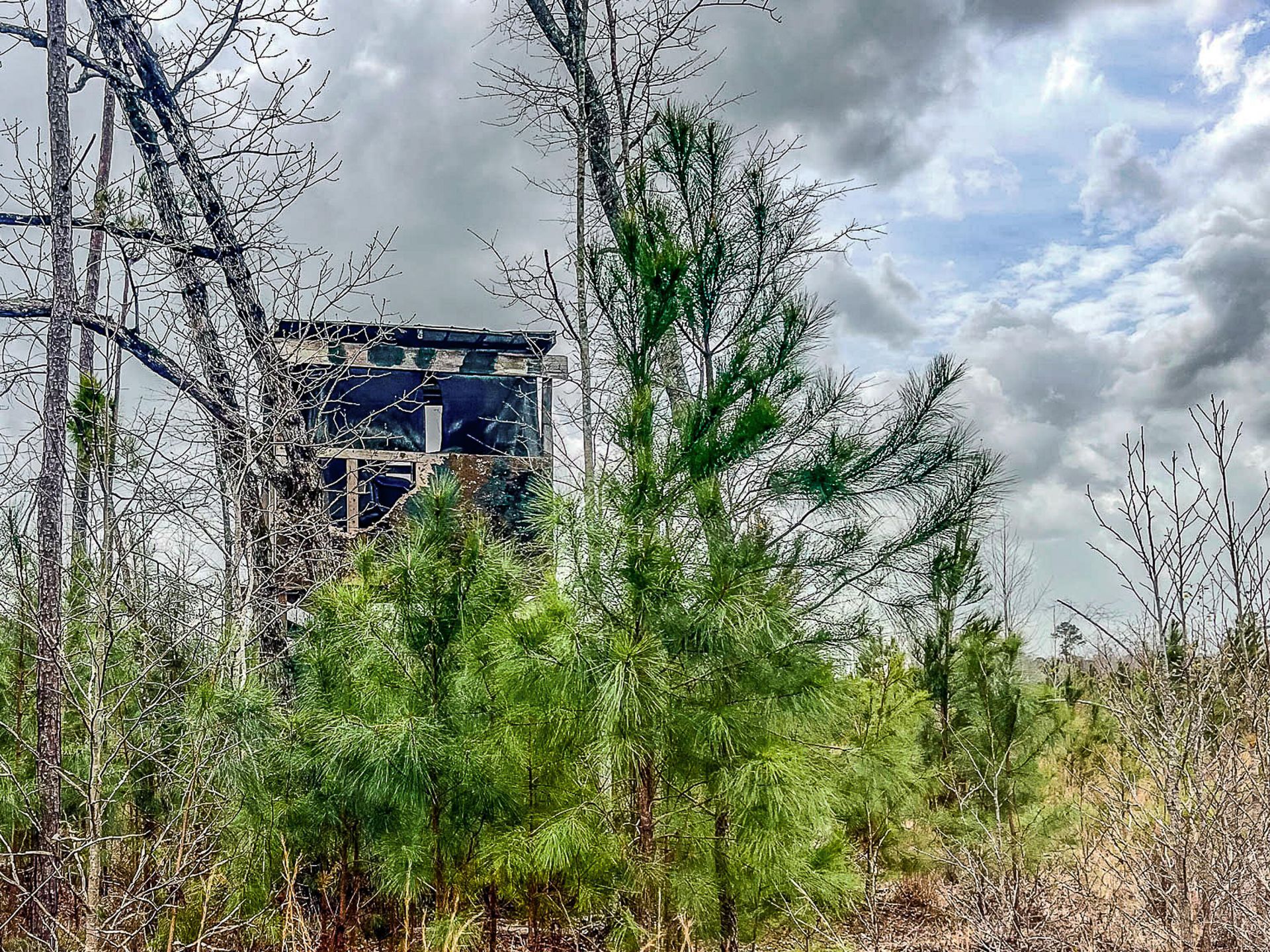 0 S Locust Avenue Photo 9