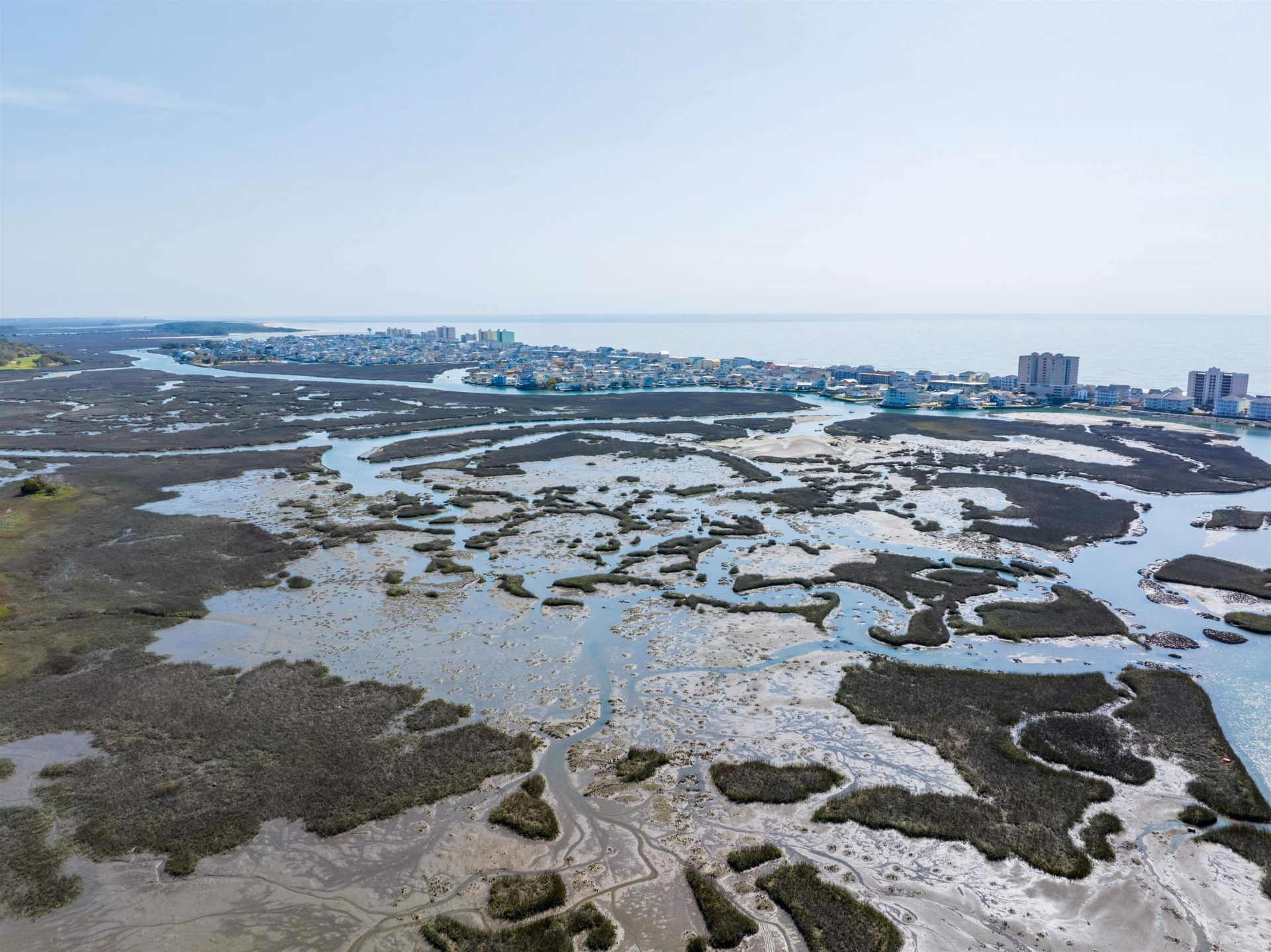 1017 Tarpon Pond Rd. Photo 4