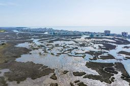 1017 Tarpon Pond Rd. photo 4