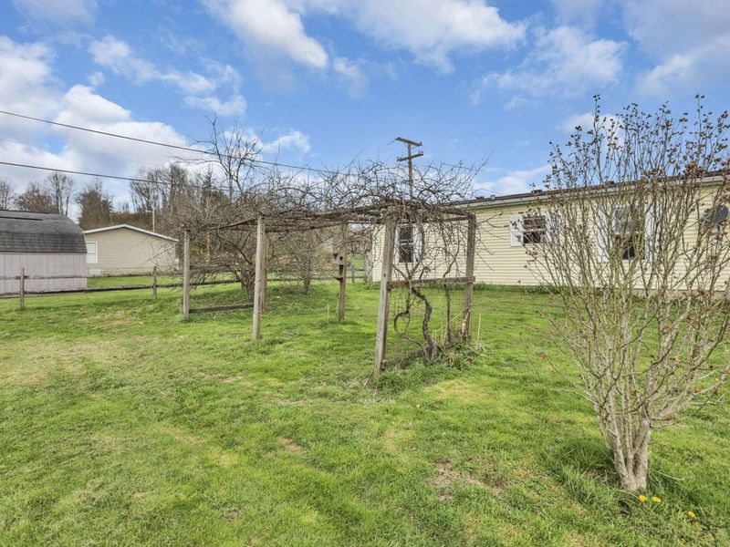 2975 State Route 93 NE, Crooksville, OH 43731 Photo 48