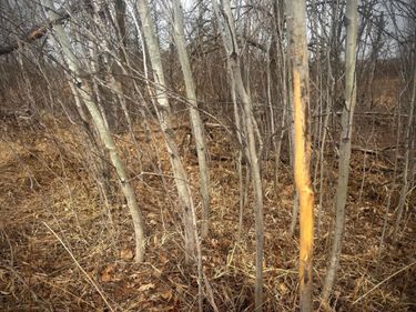 2022 Dixon Line Road, Finlayson, MN 55735