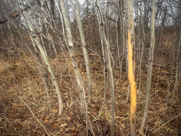 2022 Dixon Line Road , Finlayson, MN 55735