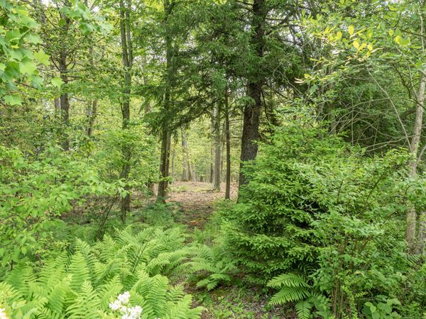 South Salem, Ridgefield, CT 06877
