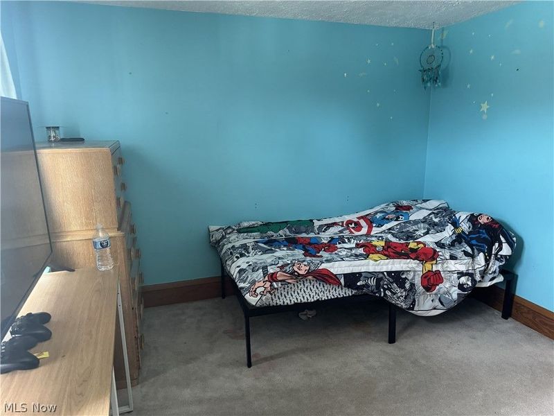 250 29th Street NW, Barberton, OH 44203 Photo 21