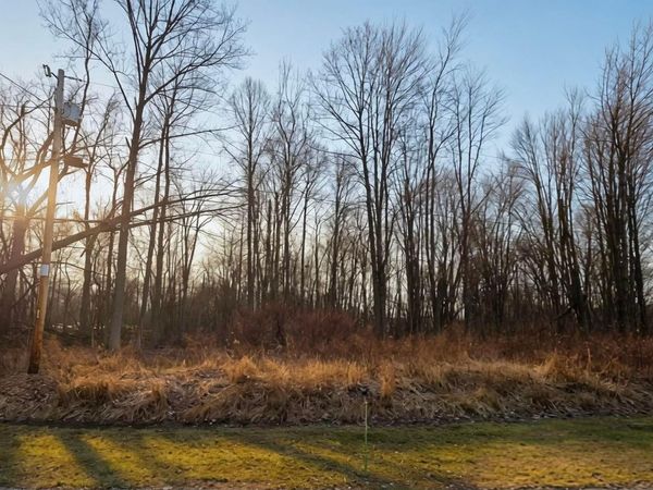 7326 State Route 19 , ,Unit 7, L, Mount Gilead, OH 43338