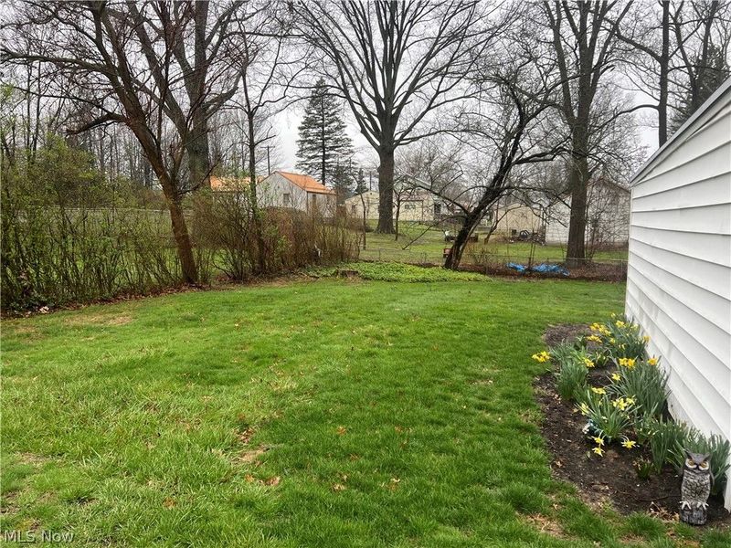 229 Ingall Avenue NW, Massillon, OH 44646 Photo 14