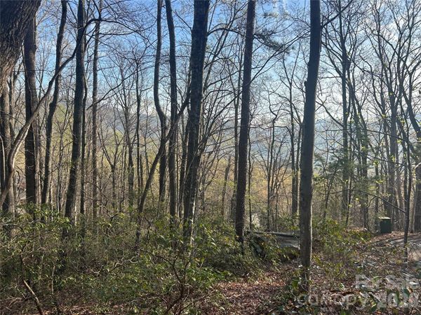 Lot 301 Cardinal Road , Lake Lure, NC 28746