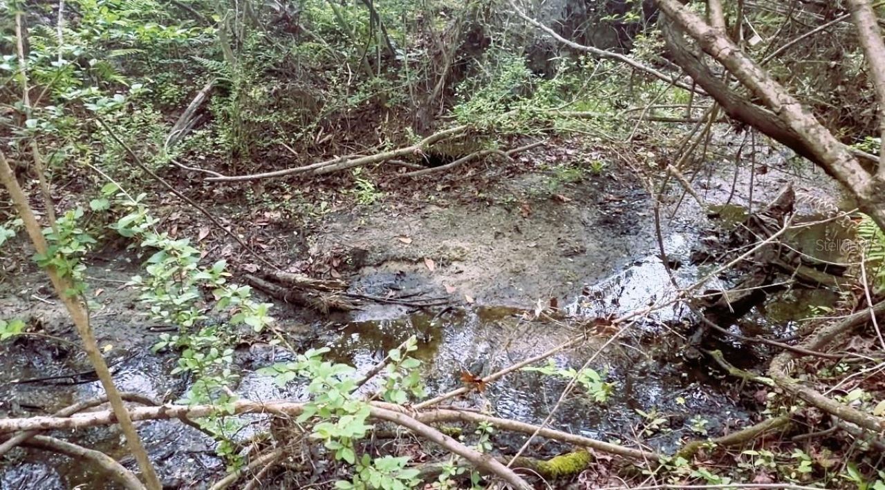 10350 Deer Run, White Springs, FL 32096 Photo