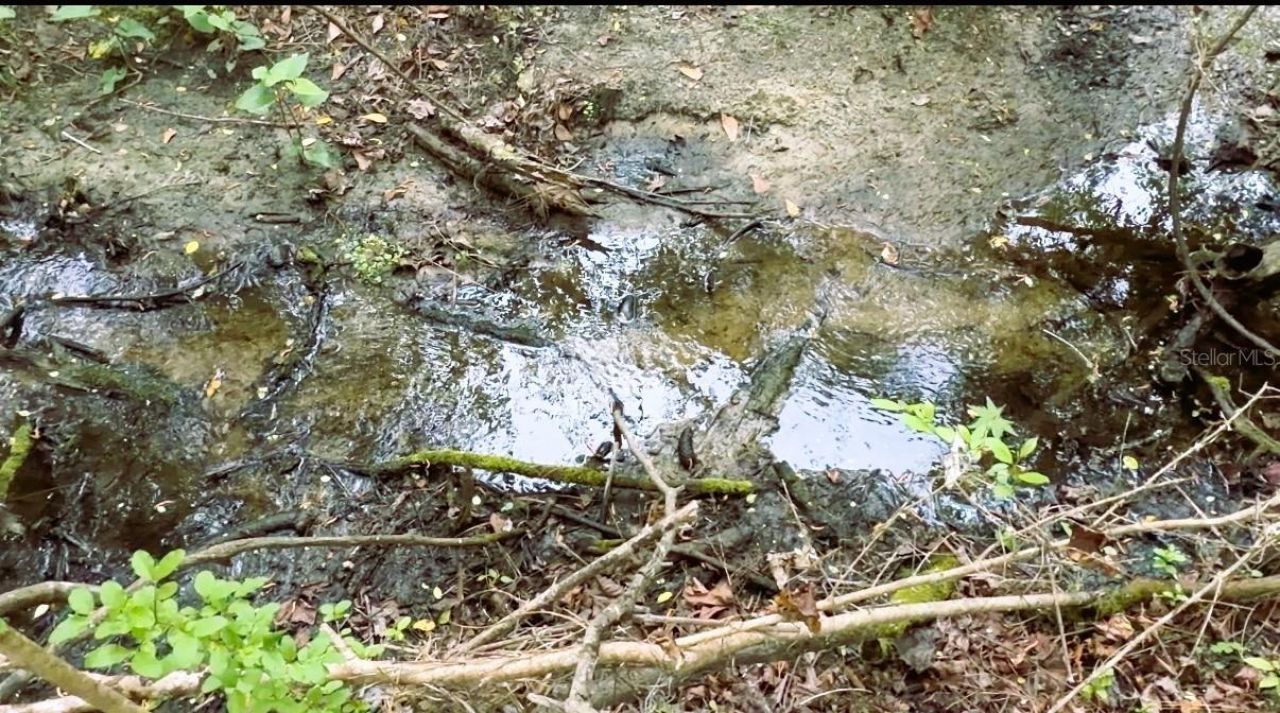 10350 Deer Run, White Springs, FL 32096 Photo