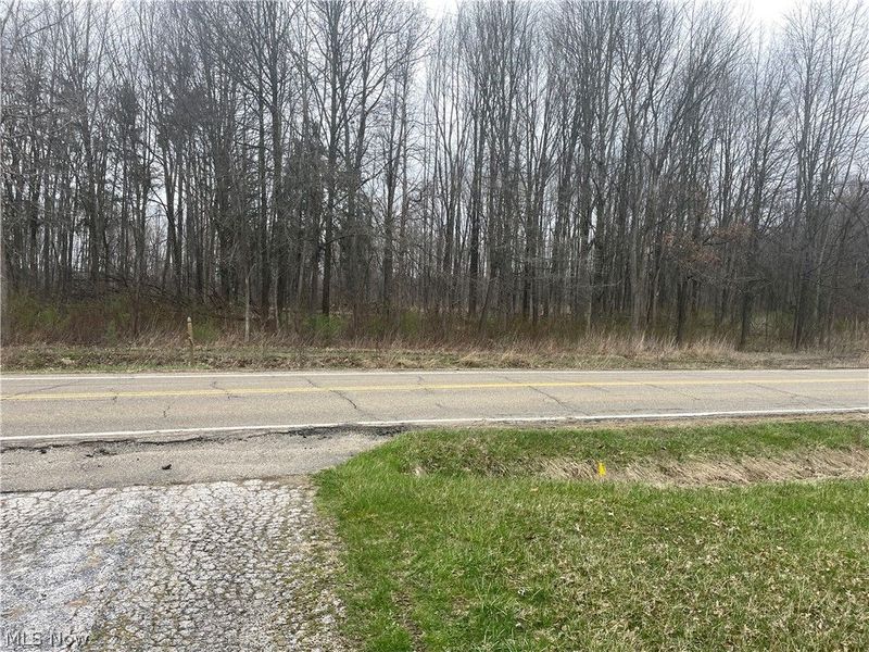 744 Carson Salt Springs Road, Mineral Ridge, OH 44440 Photo 4