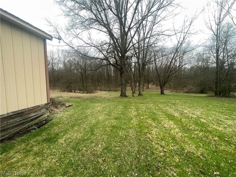 744 Carson Salt Springs Road, Mineral Ridge, OH 44440 Photo 5