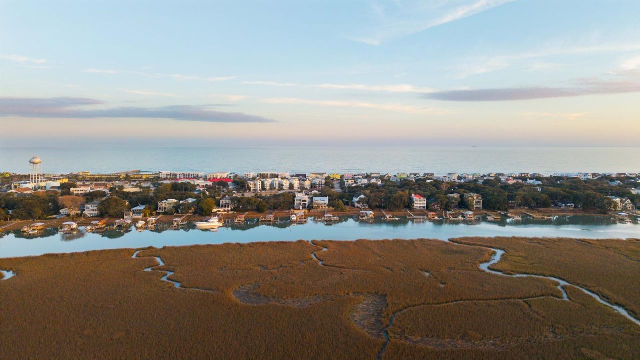 1001 Palm Boulevard Photo 87