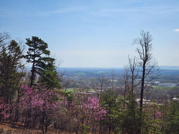 Lot 44 Summit DR, Rocky Mount, VA 24151