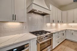 816 Elms Spinney Lane  photo 4