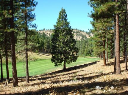 139 Bird Of Prey Lane, Portola, CA 96122 Photo