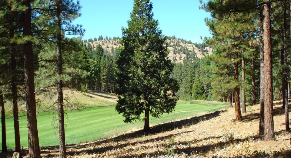 139 Bird Of Prey Lane, Portola, CA 96122 Photo