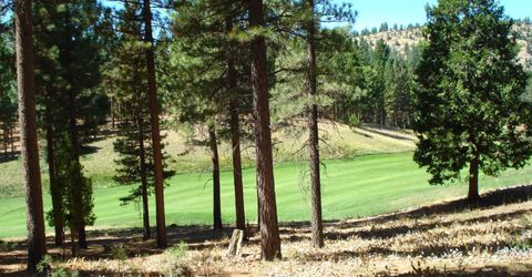 139 Bird Of Prey Lane, Portola, CA 96122 Photo