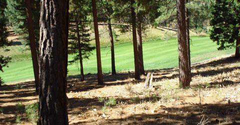 139 Bird Of Prey Lane, Portola, CA 96122 Photo