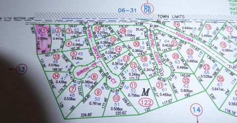 00 Toquima Way, Lot #41, Austin, NV 89310 Photo