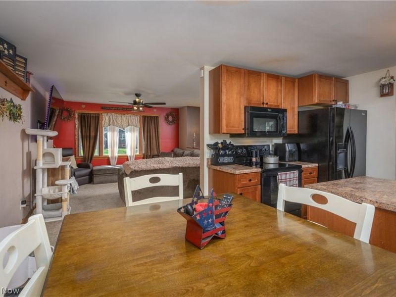 10770 Dot Avenue NE, Alliance, OH 44601 Photo 8