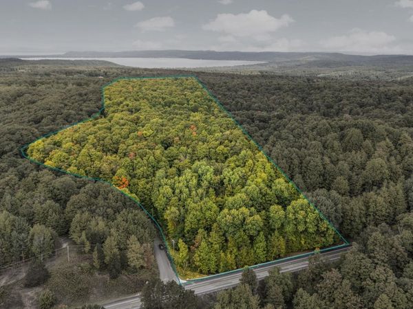 Golden Valley Drive S, Empire, MI 49630