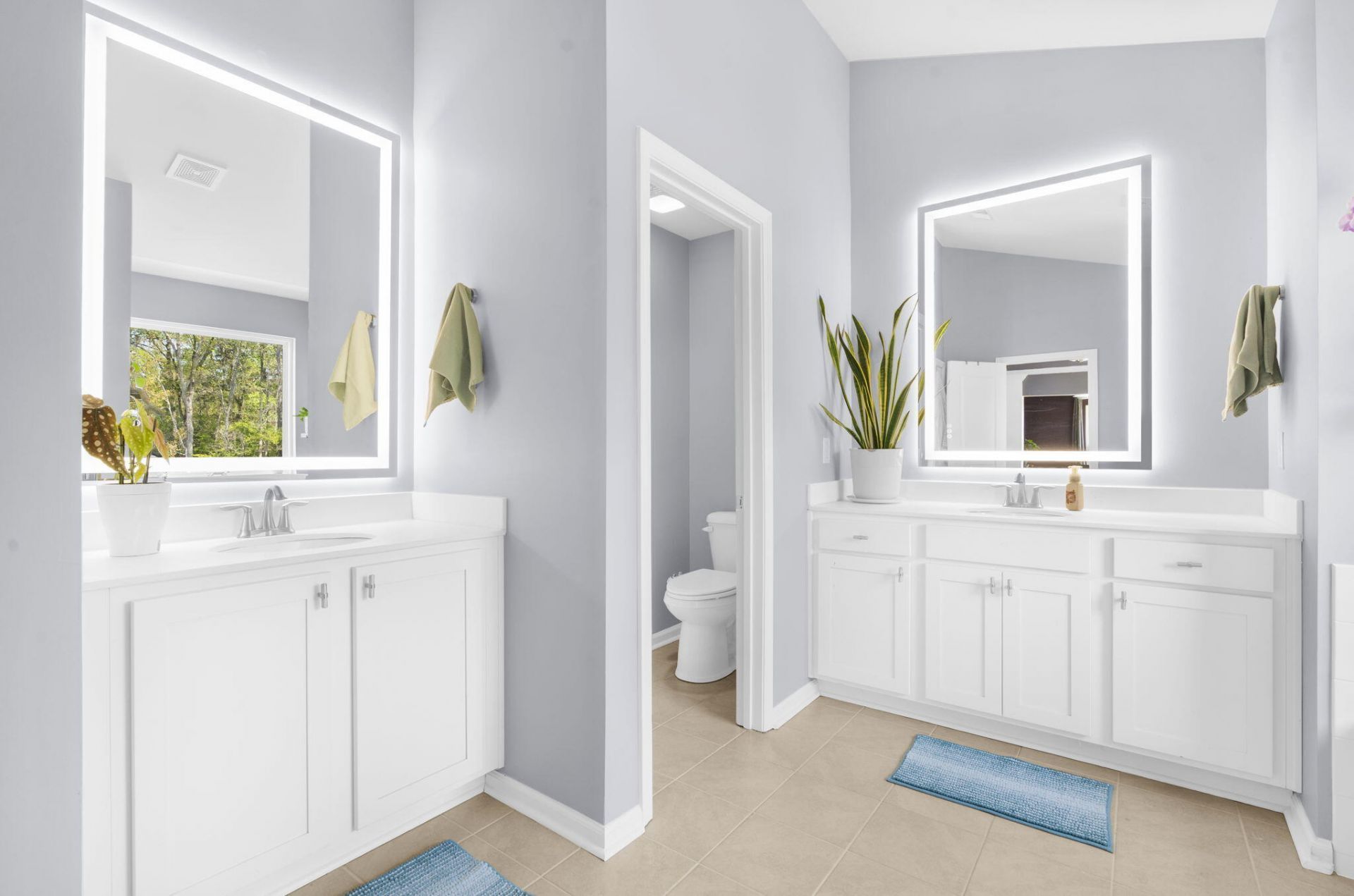 181 Cherry Grove Drive Photo 28