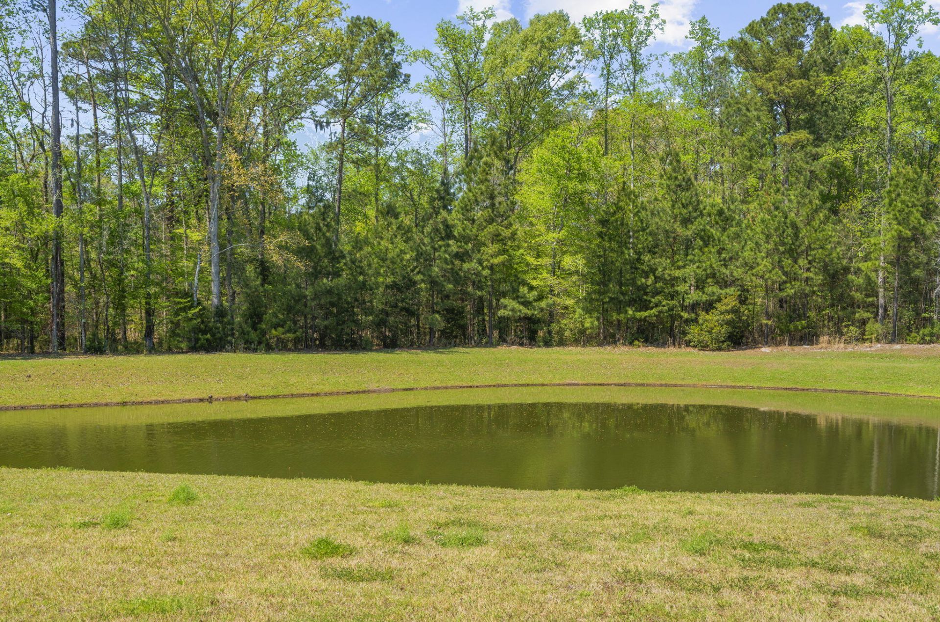 181 Cherry Grove Drive Photo 41