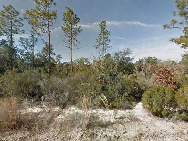 NE 100TH AVENUE , BRONSON, FL 32621