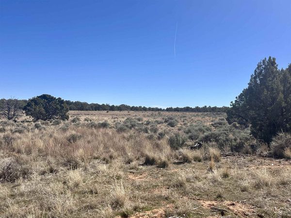 TBD Canyon Ridge Drive, Glade Park, CO 81523