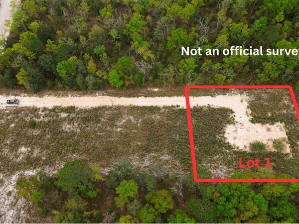 TBD 220TH PATH LOT 1, OBrien, FL 32071