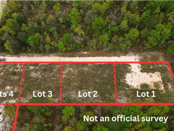 TBD 220TH PATH LOT 2, OBrien, FL 32071