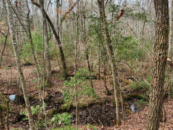 LOT 18 Gray Fox Trail, Blairsville, GA 30512